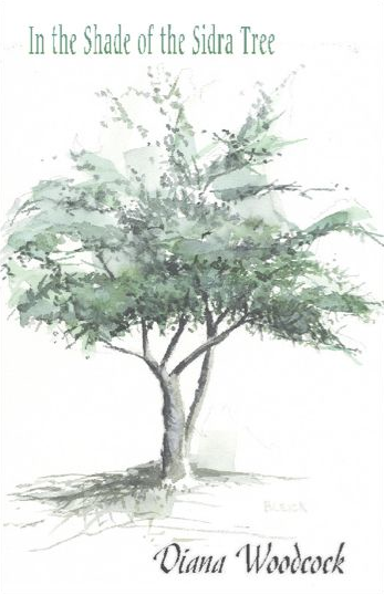 Book cover of IN THE SHADE OF THE SIDRA TREE by Dr. Diana Woodcock.
